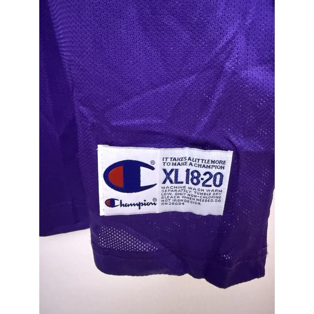 Vintage Champion NBA Toronto Raptors STOUDAMIRE #20 Jersey Purple Youth XL 18/20